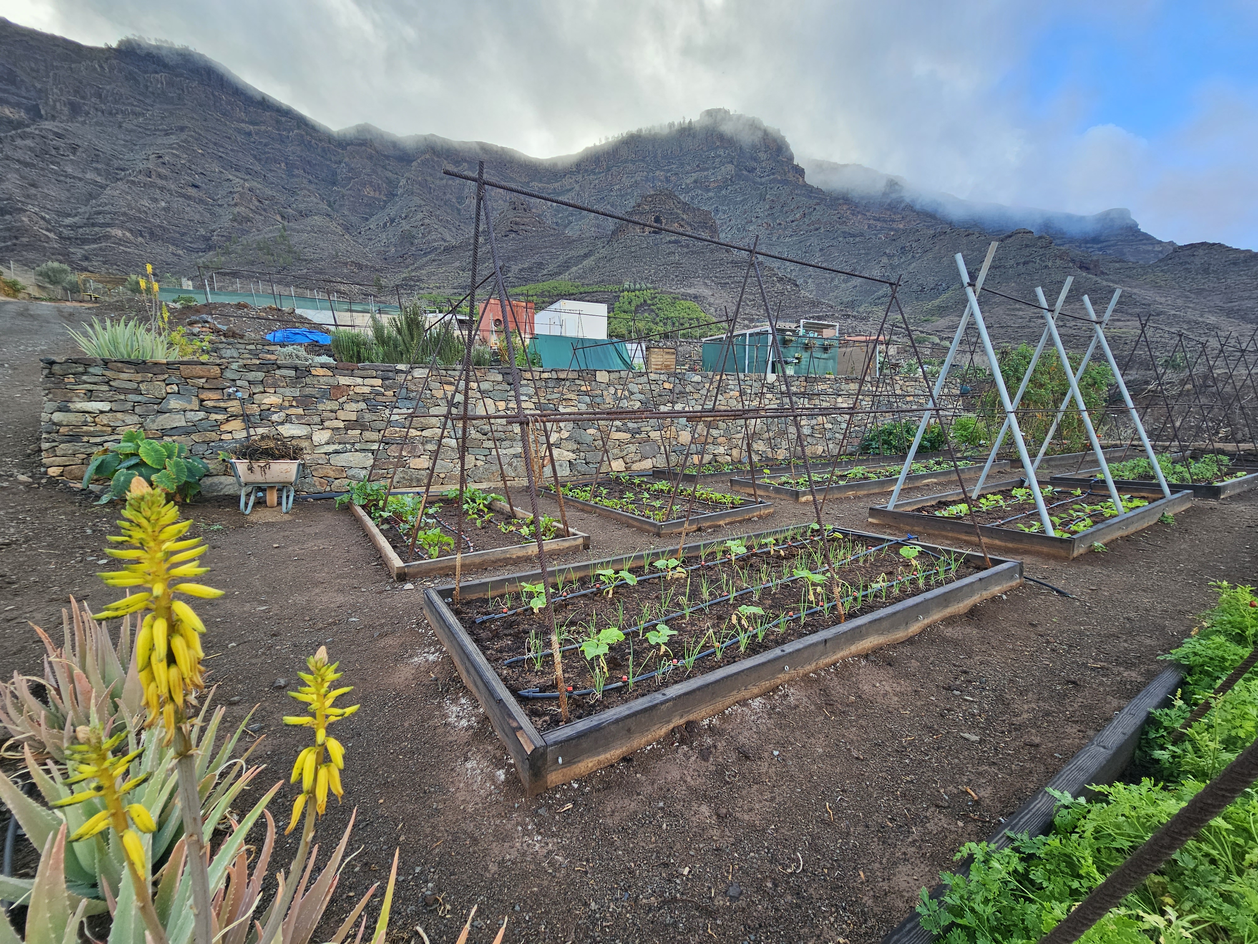 Rain by Night, Sun by Day: Nature’s Energy Duo for Transformation